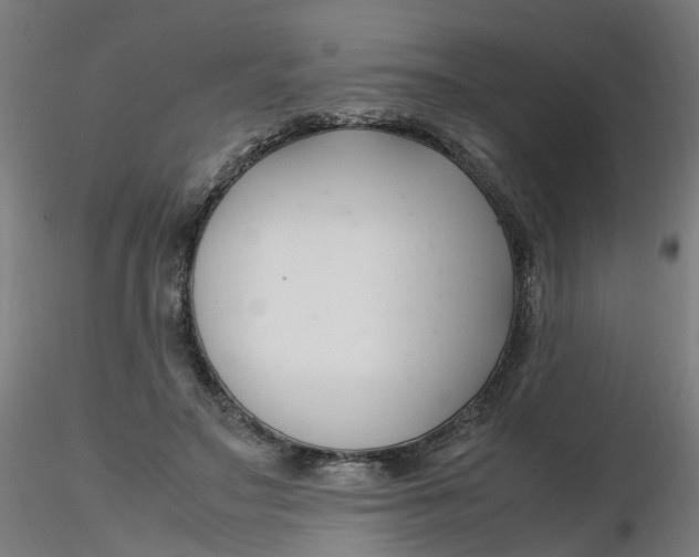 X0000116350499200912221505