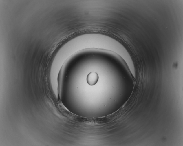 X0000116350500200912221505