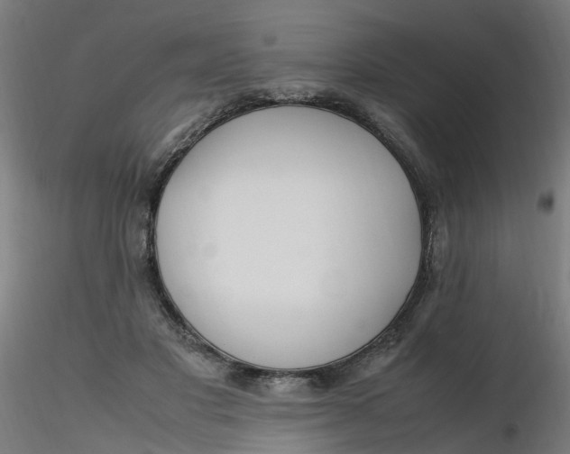 X0000116350501200912221505