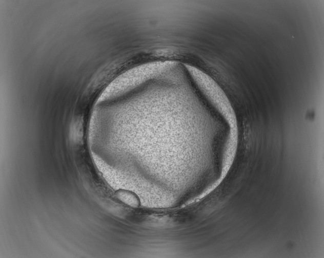 X0000116350502200912221505