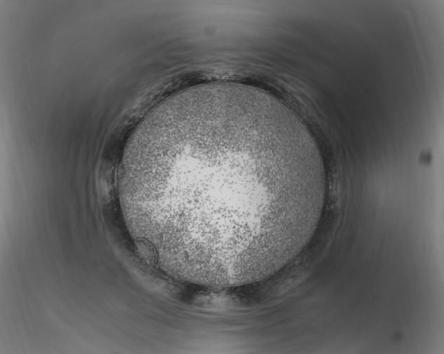 X0000116350503200912221505