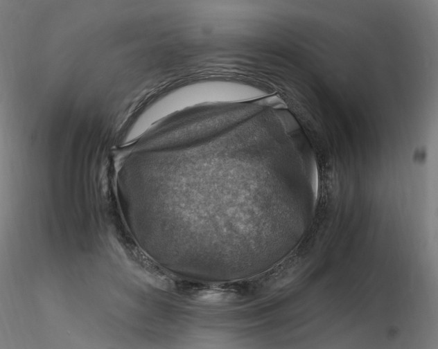 X0000116350504200912221505