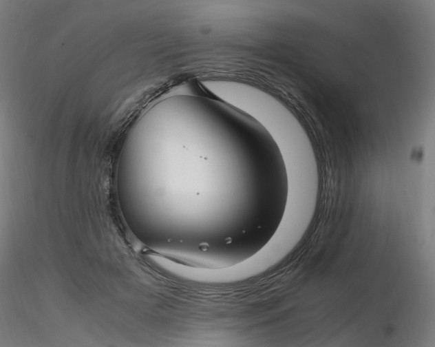 X0000116350505200912221505