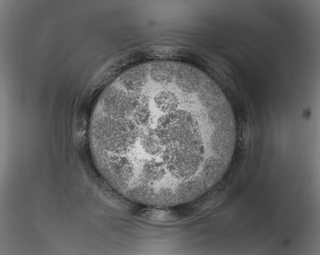 X0000116350507200912221505