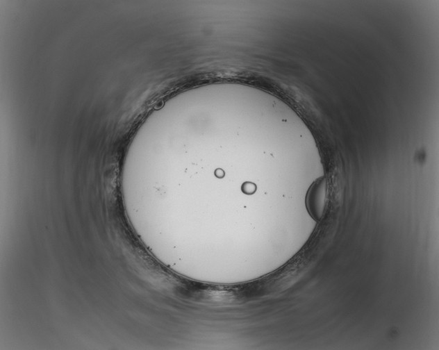 X0000116350509200912221505