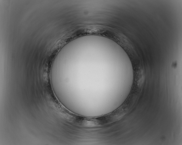 X0000116350510200912221505