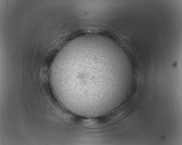 X0000116350511200912221505