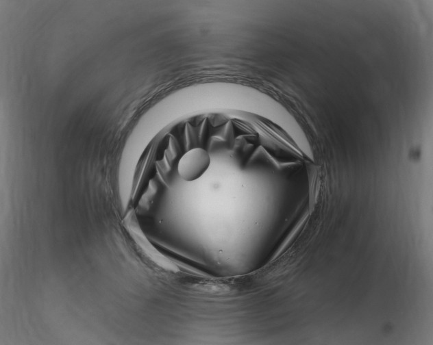 X0000116350512200912221505