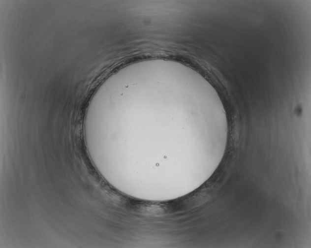 X0000116350513200912221505