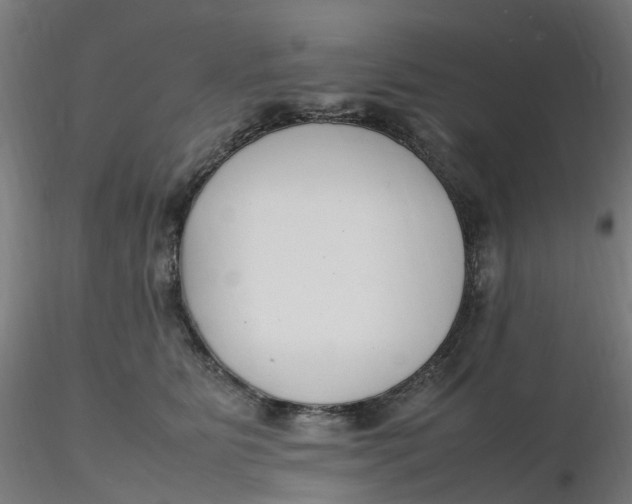 X0000116350515200912221505