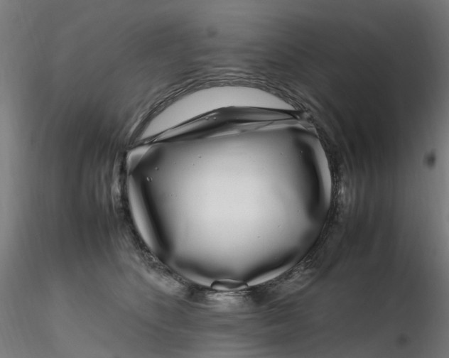 X0000116350516200912221504