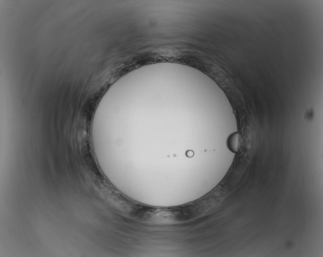 X0000116350518200912221504