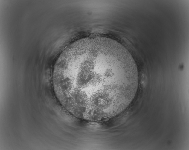 X0000116350519200912221504