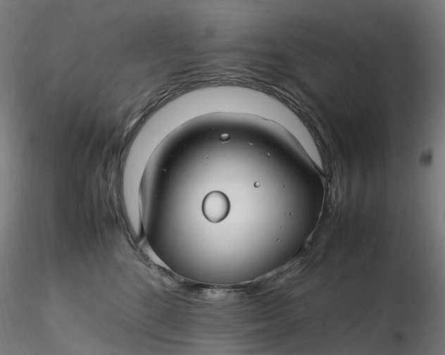 X0000116350520200912221504