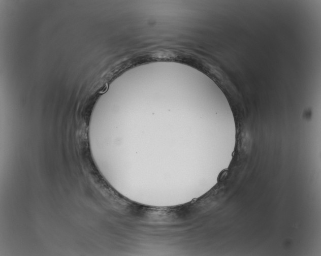 X0000116350521200912221504