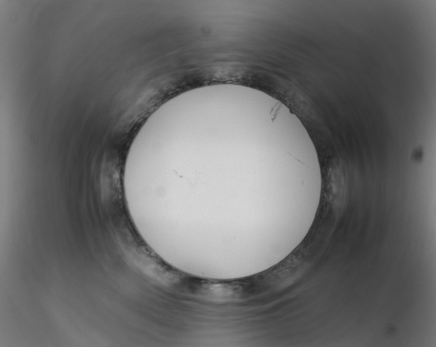 X0000116350522200912221504