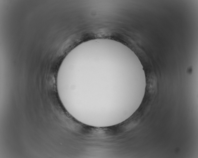 X0000116350523200912221504