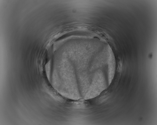 X0000116350524200912221504