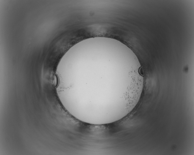 X0000116350525200912221504