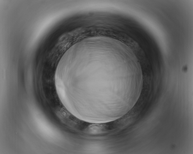 X0000116350526200912221504