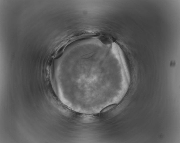 X0000116350528200912221504