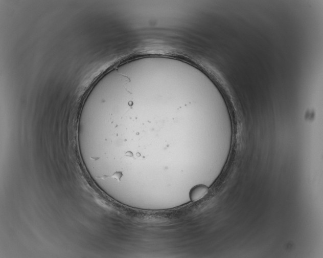 X0000116350529200912221504