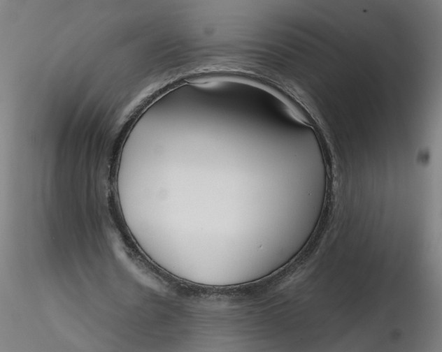 X0000116350530200912221504