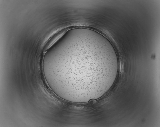 X0000116350531200912221504