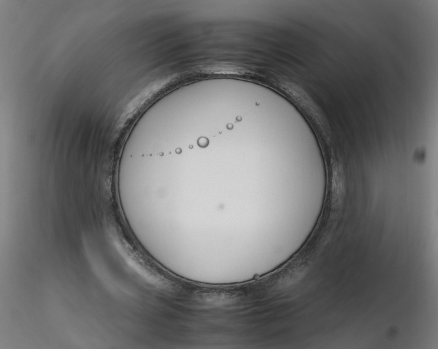 X0000116350533200912221504