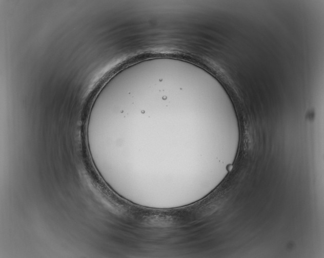 X0000116350535200912221504