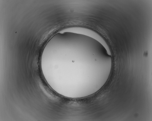 X0000116350538200912221504