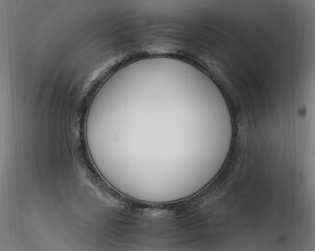 X0000116350539200912221504