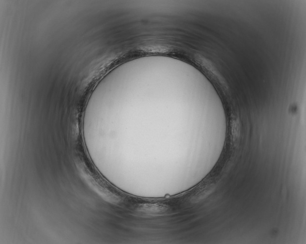 X0000116350541200912221504