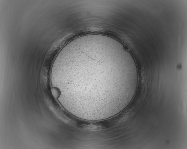 X0000116350542200912221504