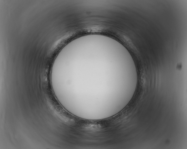 X0000116350543200912221504