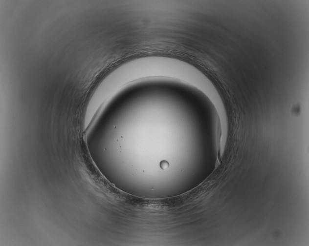 X0000116350546200912221504