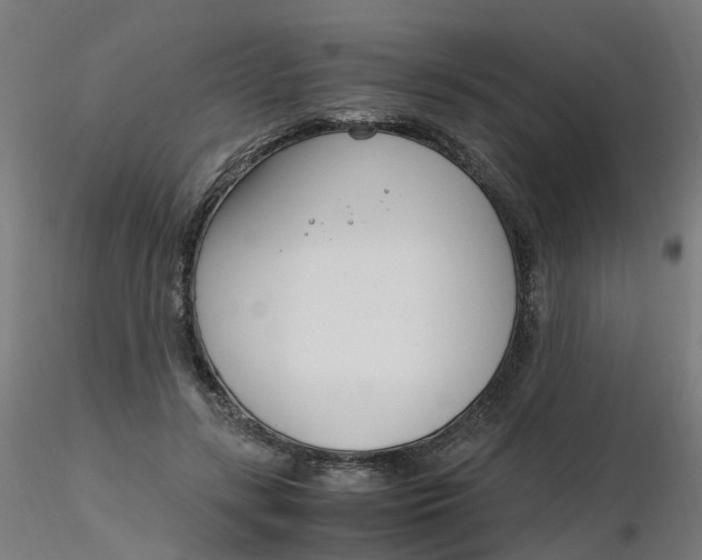 X0000116350547200912221504