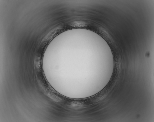 X0000116350549200912221504