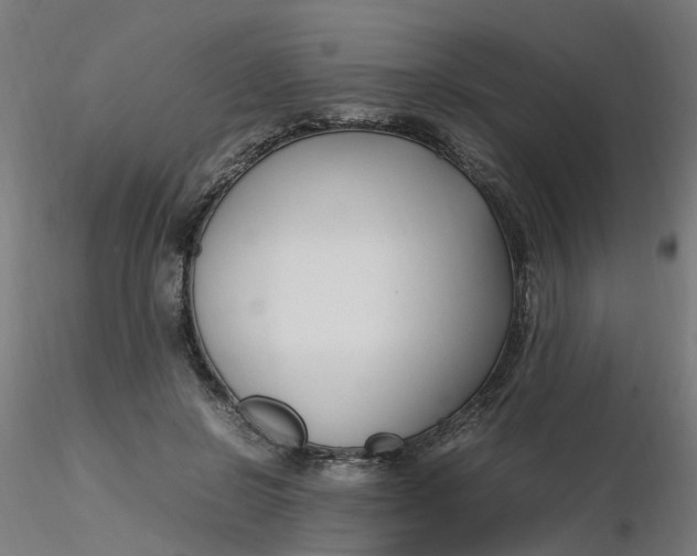 X0000116350550200912221504