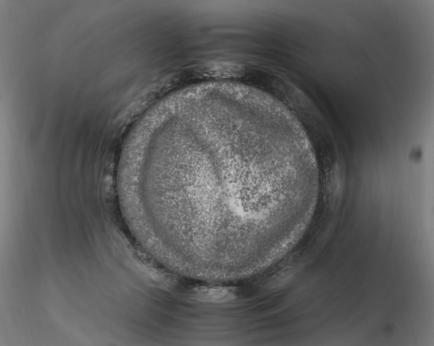 X0000116350553200912221504