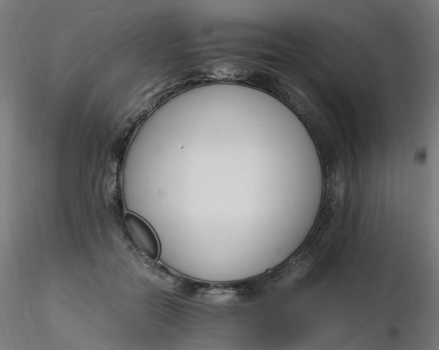 X0000116350554200912221504