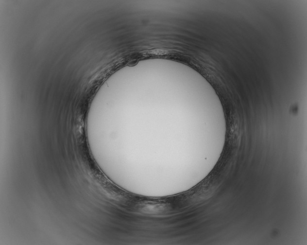 X0000116350555200912221504