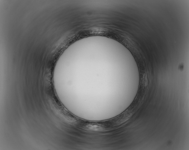 X0000116350557200912221504