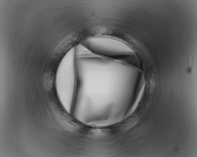 X0000116350558200912221504