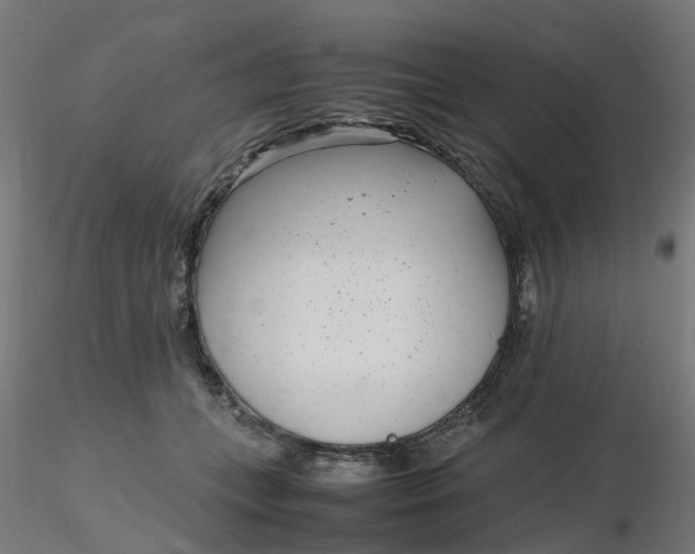 X0000116350559200912221504