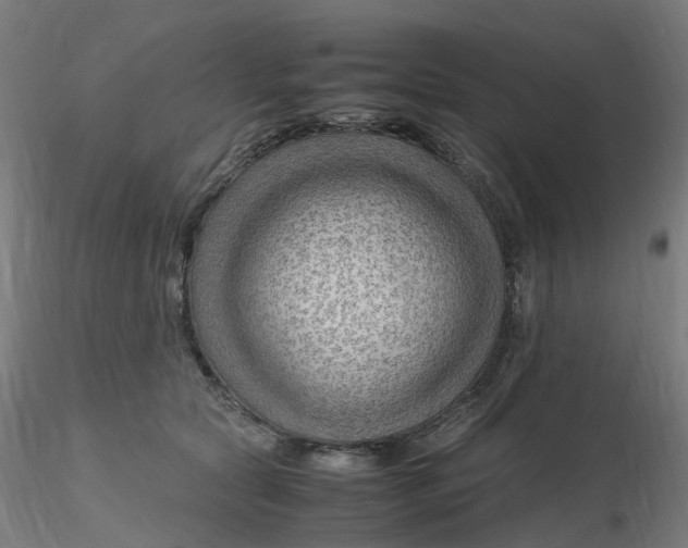 X0000116350561200912221504