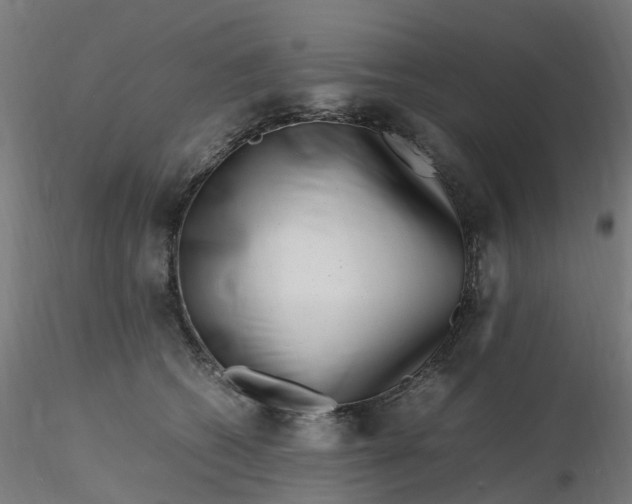 X0000116350562200912221504