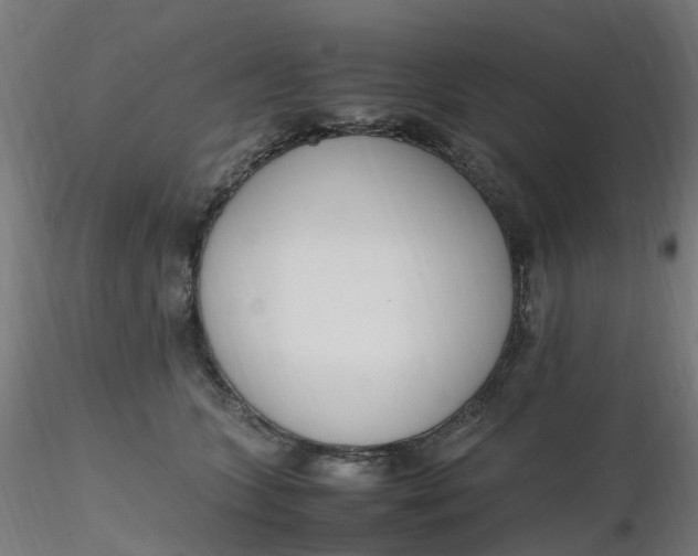 X0000116350563200912221504