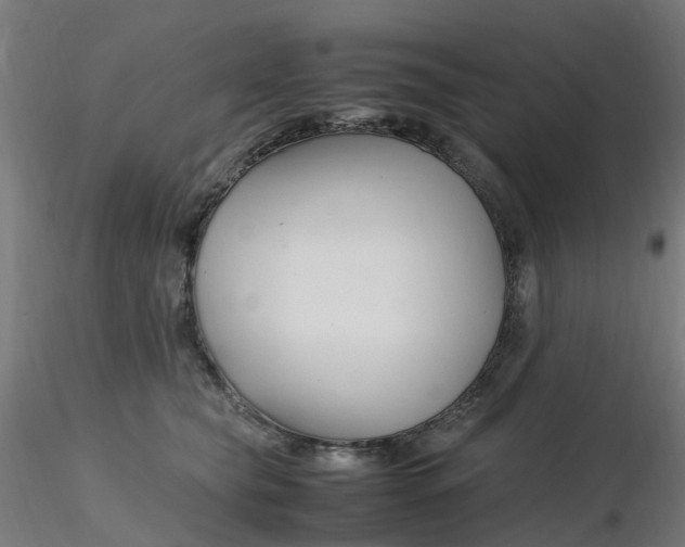 X0000116350565200912221504