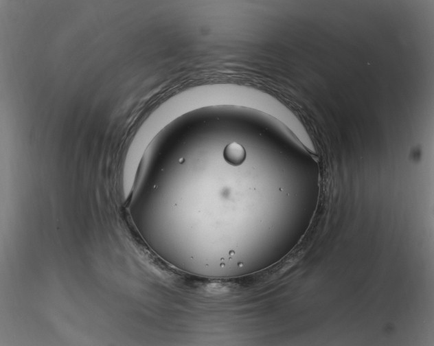 X0000116350566200912221504